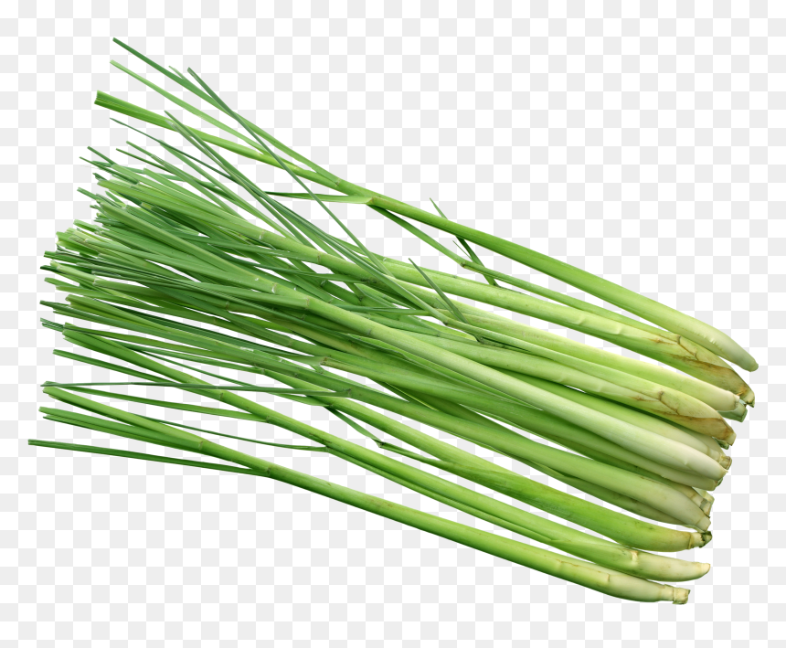 Lemon Grass Hd Png , Png Download, Transparent Png - grass background hd png