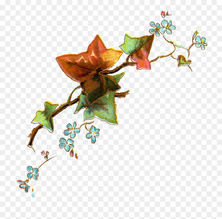 Free Flower Clip Art - Forget Me Notes Antiqueimages Blogspot, HD Png Download - gamla flower png