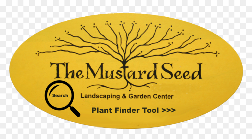 Mustardseed Oval Color Updated 19 - Beesley And Fildes, HD Png Download - shrubs plan png