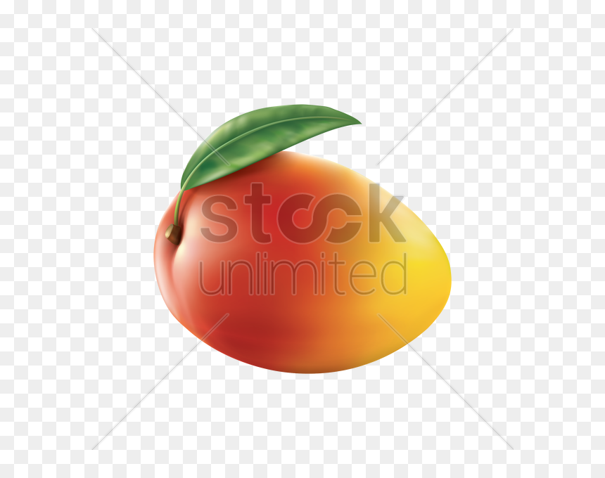 Thumb Image - Nectarines, HD Png Download - mango png image