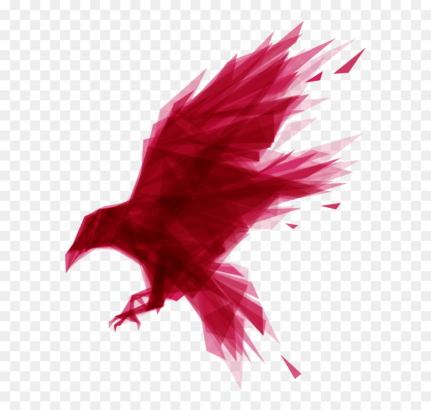 Transparent Raven Feather Png - Ravendb Png, Png Download - database images png
