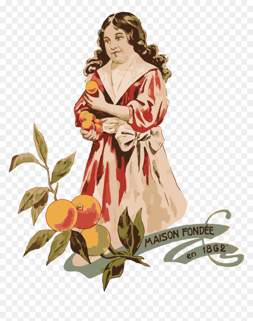 Cardassilairs Web Elemennts-05 - Illustration, HD Png Download - dry fruit png