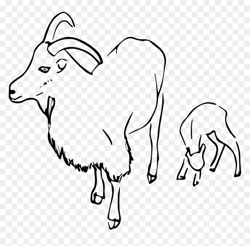 De Vector, HD Png Download - goat images png