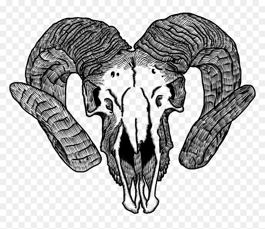 Saos Goat Skull 2012 08 14 00 34 21 - Transparent Ram Skull Png, Png Download - goat images png