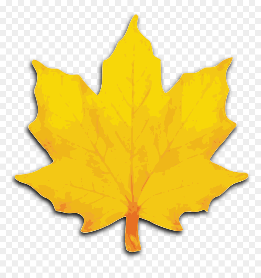 Gold Leaves Cliparts - Orange Maple Leaf Clipart, HD Png Download - chinar leaf png