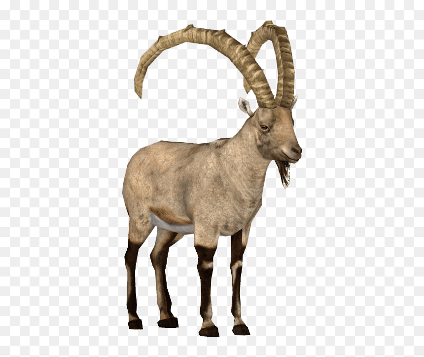 Ibex Transparent Png Stickpng - Alpine Ibex Png, Png Download - goat images png