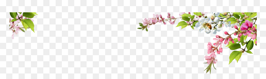Grass Vectors, Photos And Psd Files - Portable Network Graphics, HD Png Download - grass png for photoshop