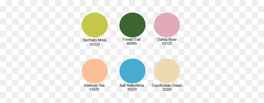 Circle, HD Png Download - colour effect png