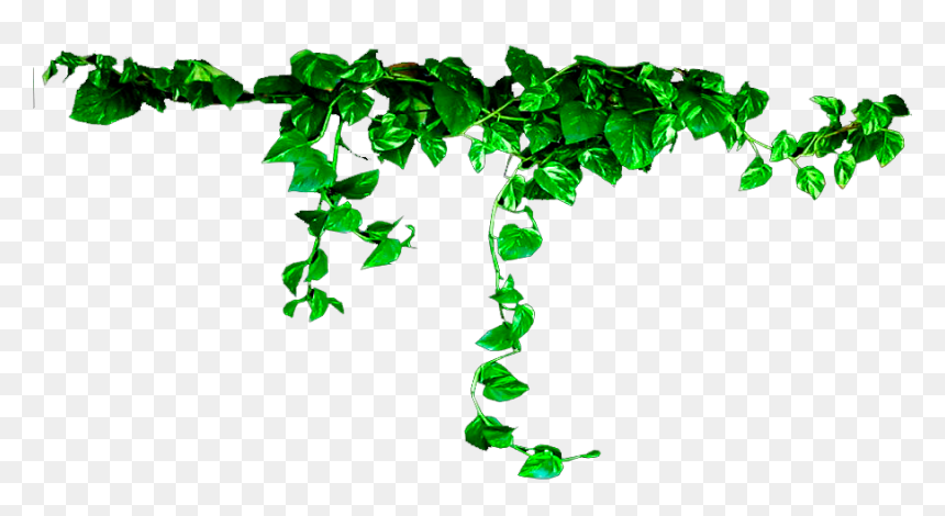 Png For Photoshop - Plant Png, Transparent Png - grass png for photoshop