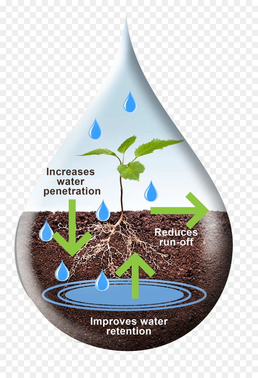 Graphic Design, HD Png Download - water pot png