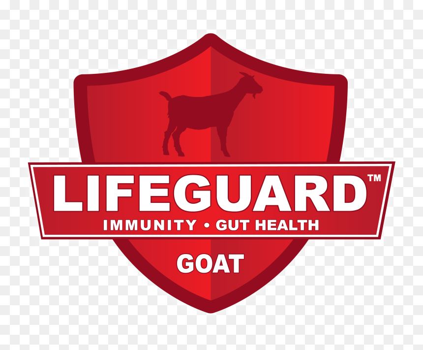 Graphic Design, HD Png Download - goat images png