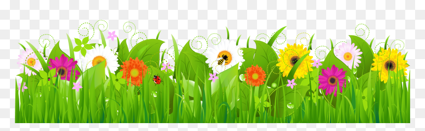 Clip Art Grass With Flowers, HD Png Download - flowers borders png images