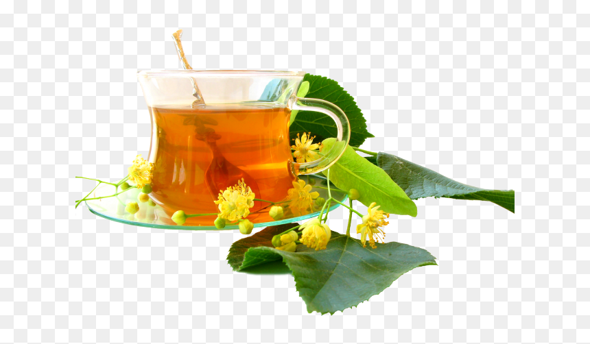 Green Tea Png Transparent Images - Ziołowa Herbata, Png Download - tea images png