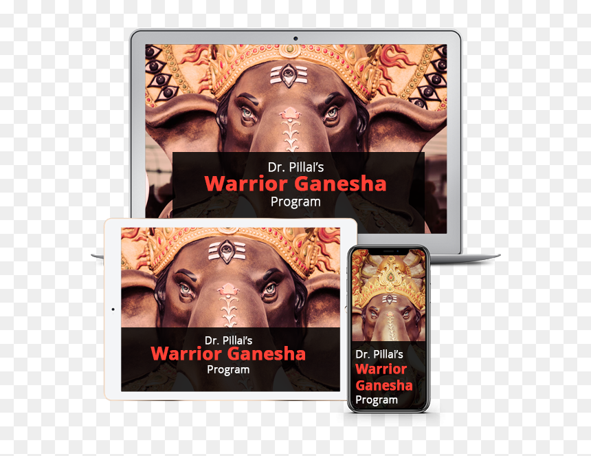 Program - Indian Elephant, HD Png Download - god ganapathi png