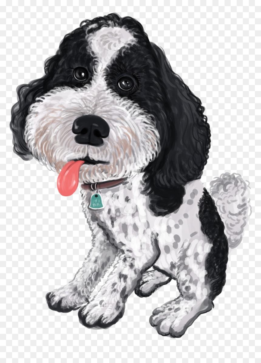 Cocker Spaniel, HD Png Download - caricature body png