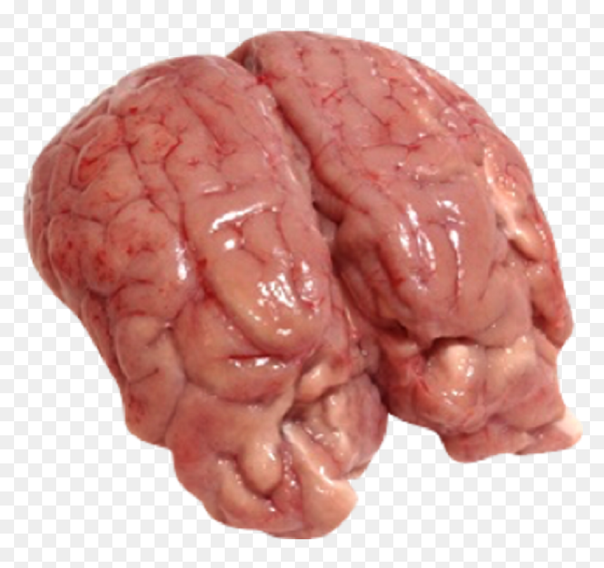 Goat Brain, HD Png Download - goat images png