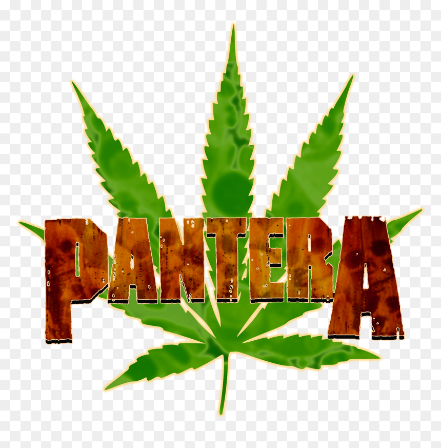 Here"s A Mid 90s Logo I Had A Digital Artist Re-create - Weed Picsart, HD Png Download - chinar leaf png