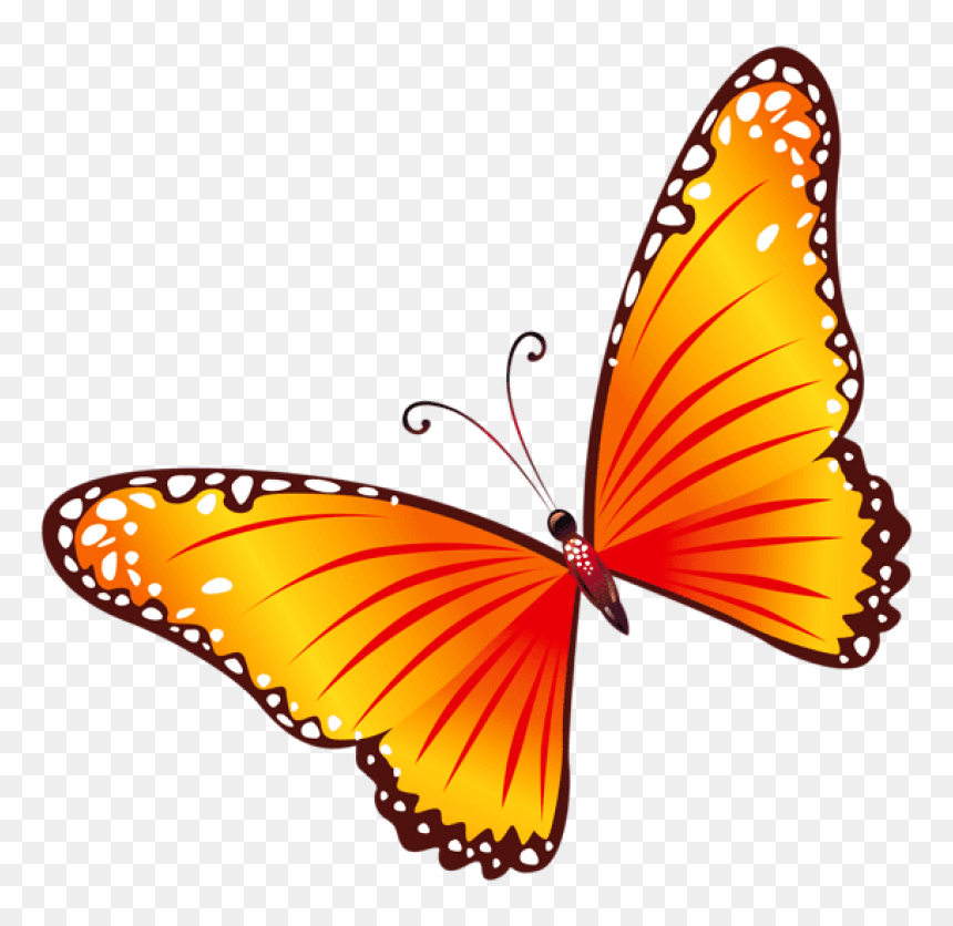 Thumb Image - Butterfly Clipart Png Transparent, Png Download - butterfly hd png