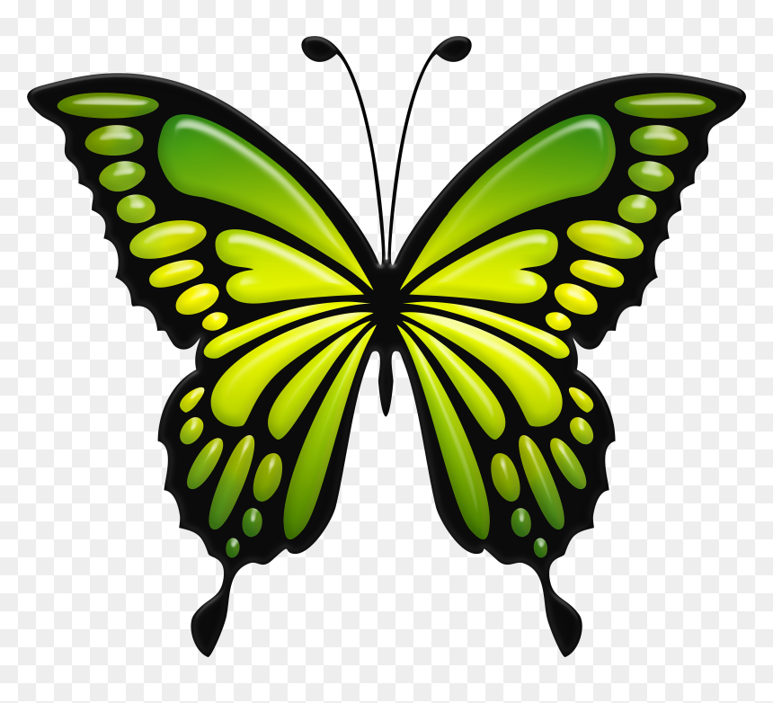 Green Butterfly Png , Png Download, Transparent Png - butterfly hd png