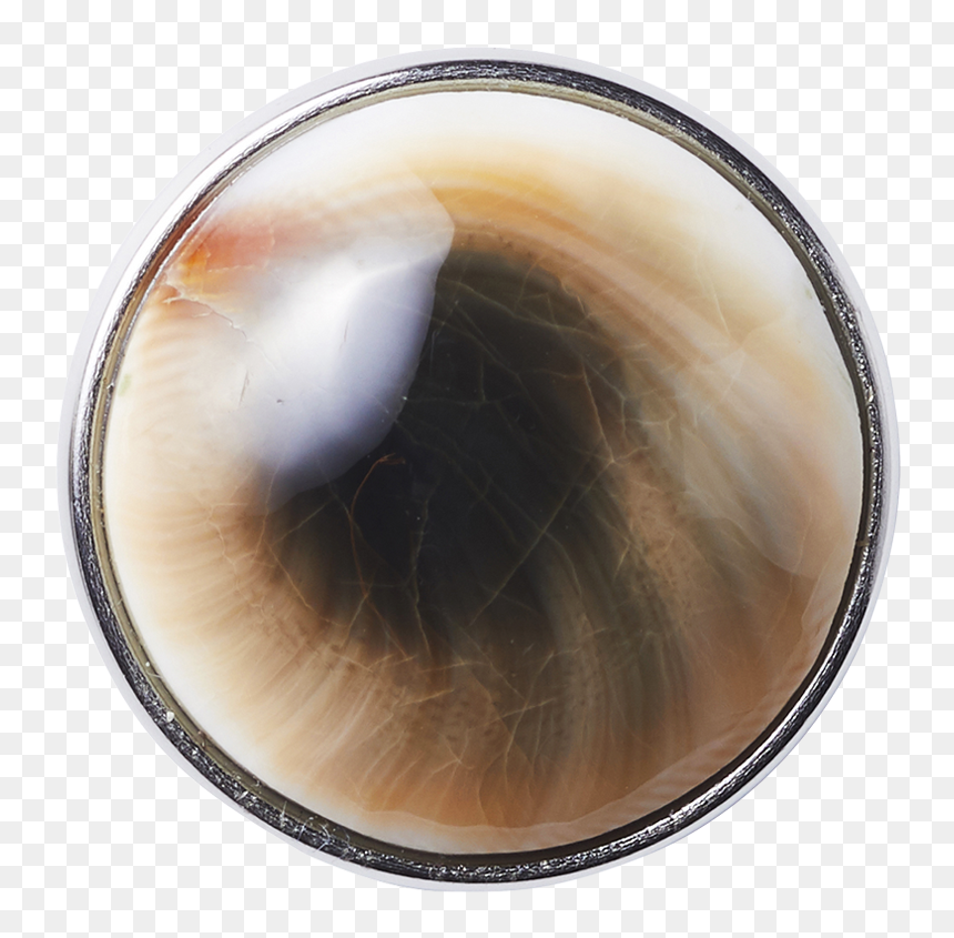 Close-up, HD Png Download - peepal tree png