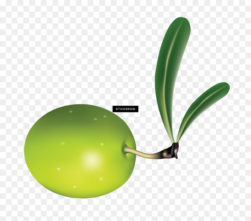 Olive Clipart Jamun Fruit - Clip Art, HD Png Download - jamun png
