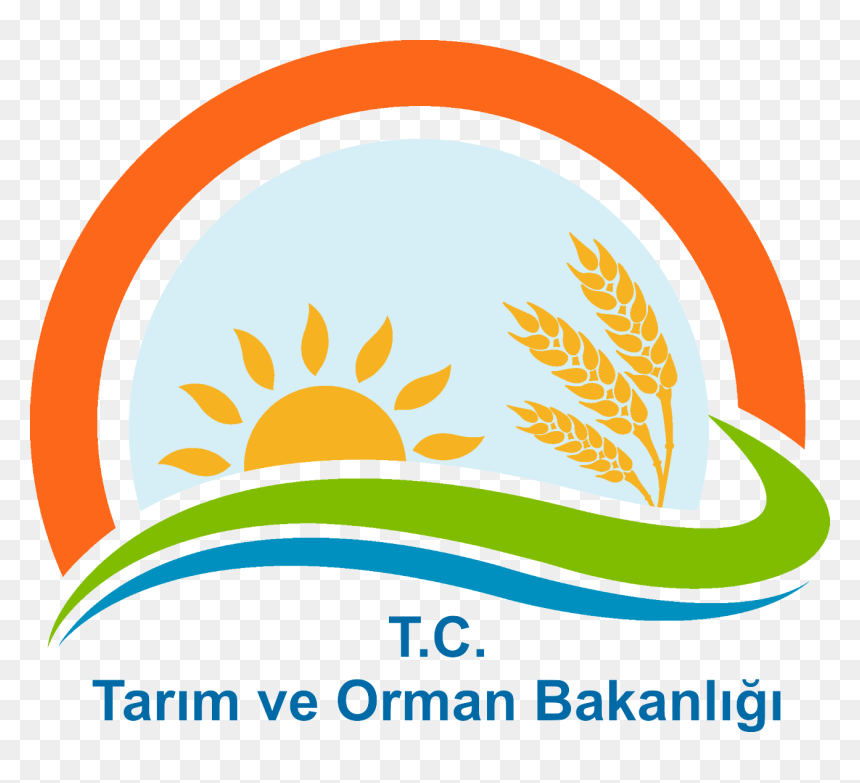 International Training Workshop On Sand And Dust Storms - Republic Of Turkey Ministry Of Food Agriculture, HD Png Download - sand dust png