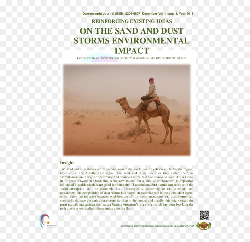 Arabian Camel, HD Png Download - sand dust png