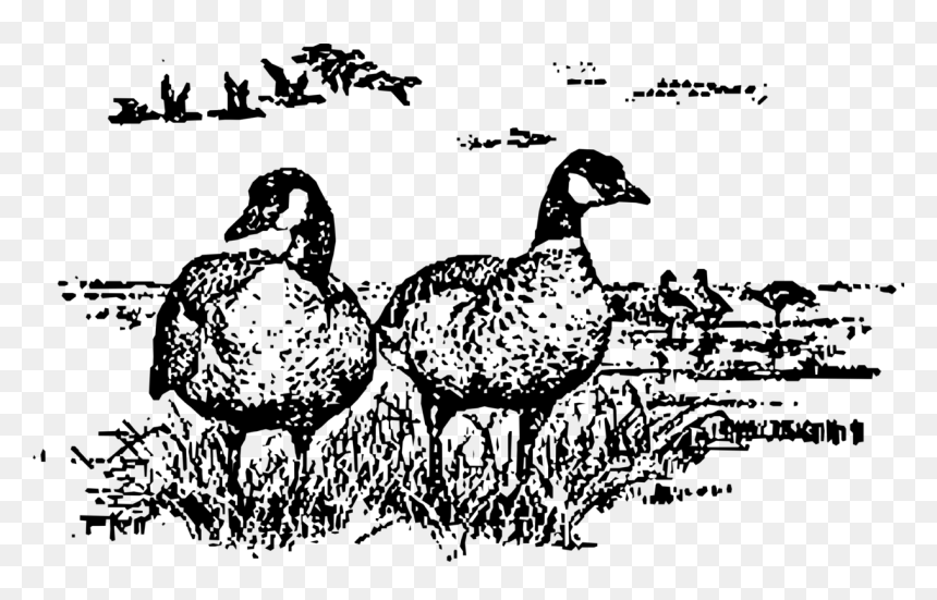 Art,livestock,fowl, HD Png Download - cack png