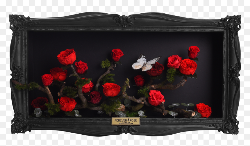 Wall Frame Garden - Handbag, HD Png Download - wall frame png