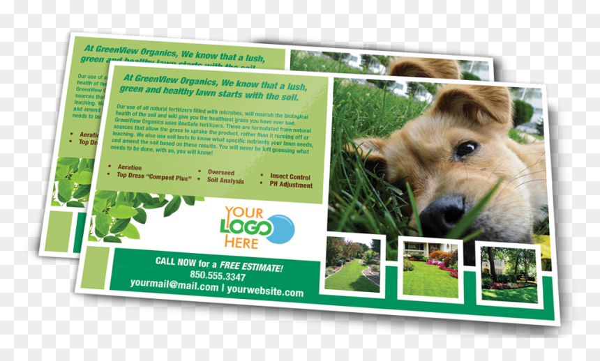 Postcard Png Clipart - Here, Transparent Png - call clipart png