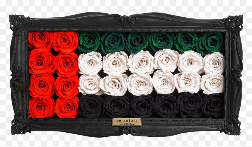 Wall Frame - Garden Roses, HD Png Download - wall frame png