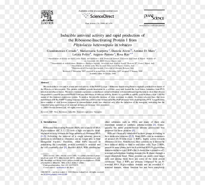 Document, HD Png Download - page rip png