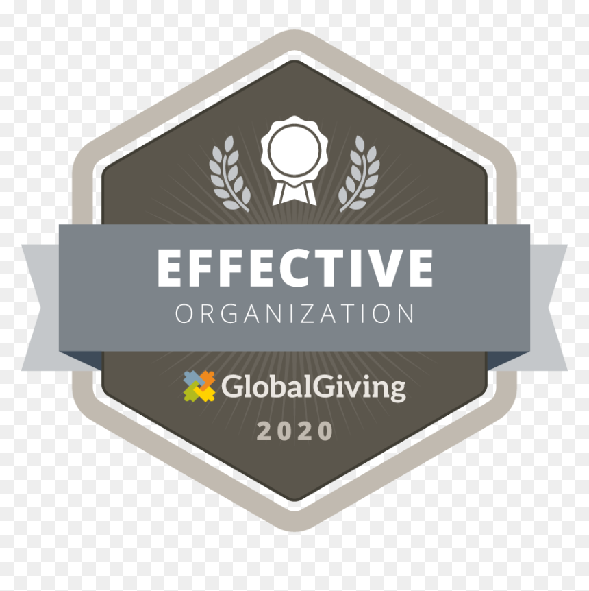 Effectivenonprofit Large - Top Rated Badge Global Giving 2019, HD Png Download - profit png