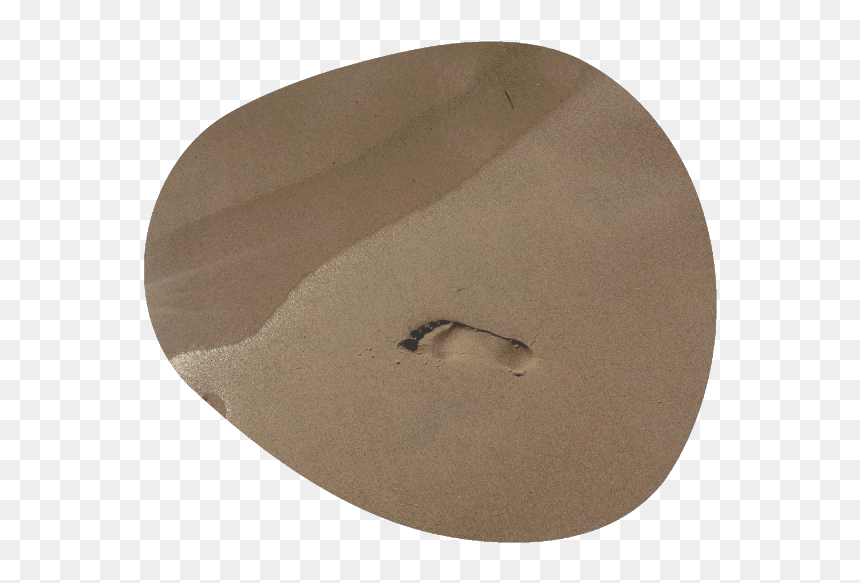 Mayflies, HD Png Download - latest png effect