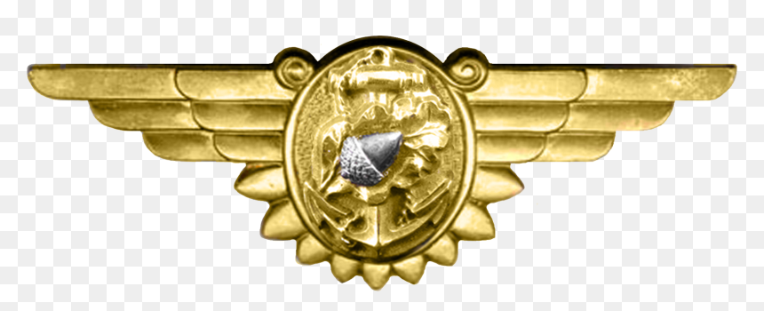 Wwii Naval Flight Nurse Insignia - Ww2 Badges Png, Transparent Png - ww2 png
