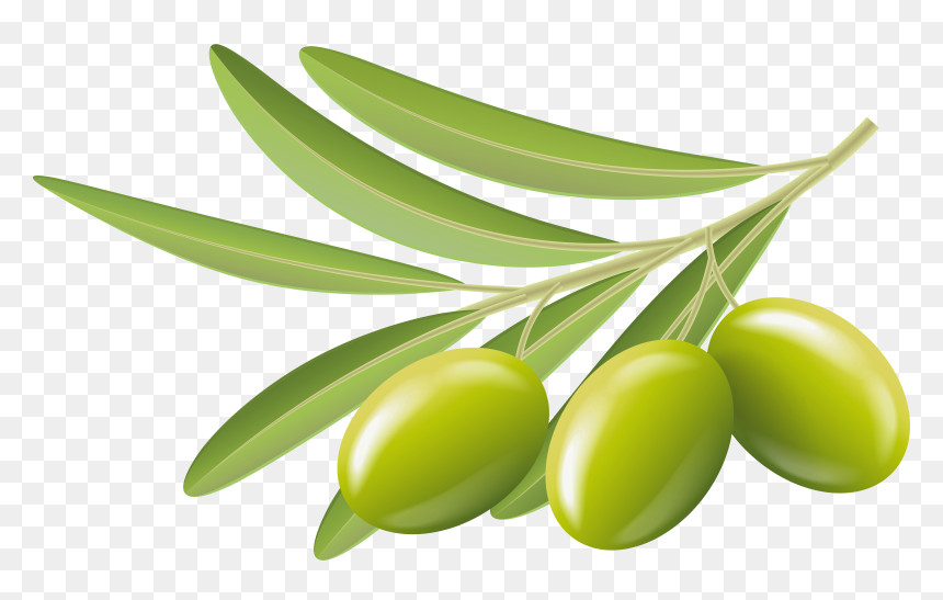 Green Olive Png - Transparent Background Olive Clipart, Png Download - jamun png