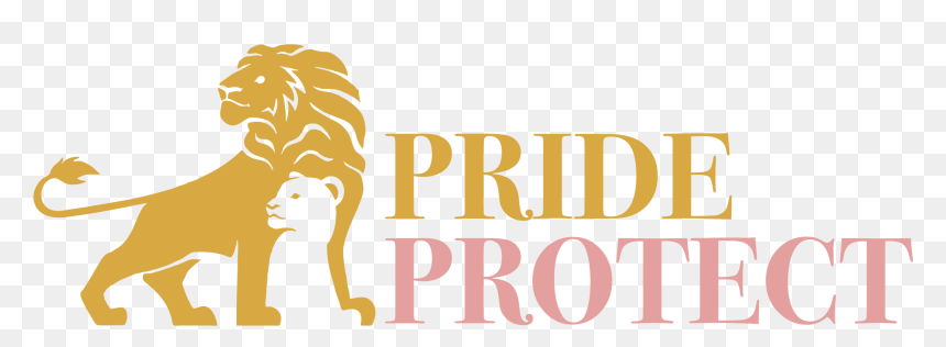 Normal4 - J Pop Best Love Ballads, HD Png Download - pride png