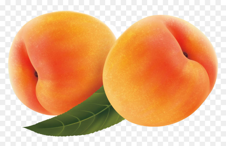 Fruit Peach Transprent Png Free Download - Durazno Png, Transparent Png - jamun png