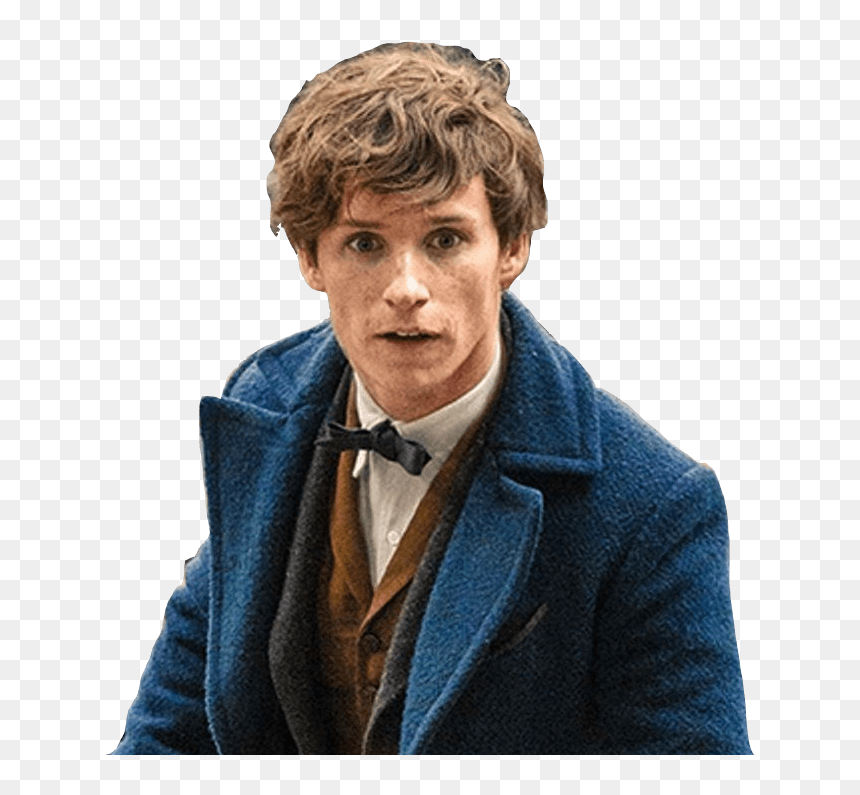 Newt Scamander Looking Up Transparent Png - Dumbledore Fantastic Beasts 2 Wand, Png Download - person looking png