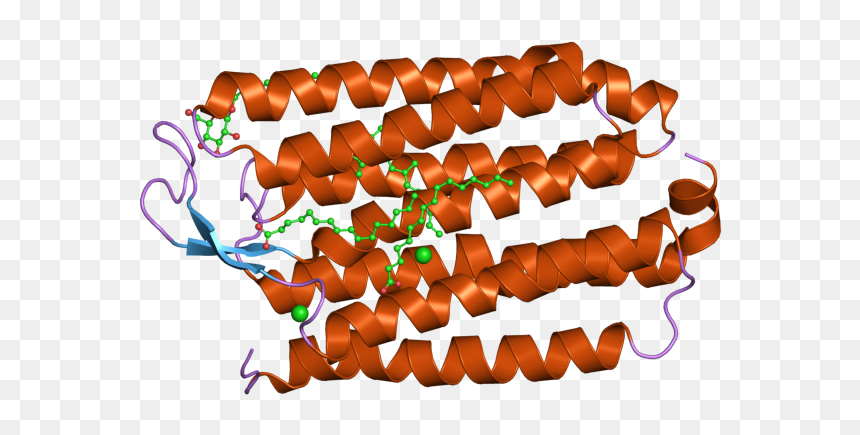 Pdb 2jaf Ebi - Gulab Jamun, HD Png Download - jamun png