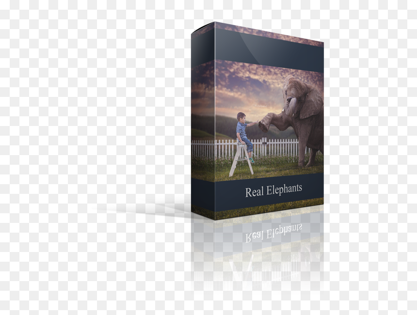 Picture - Carton, HD Png Download - dust overlay png
