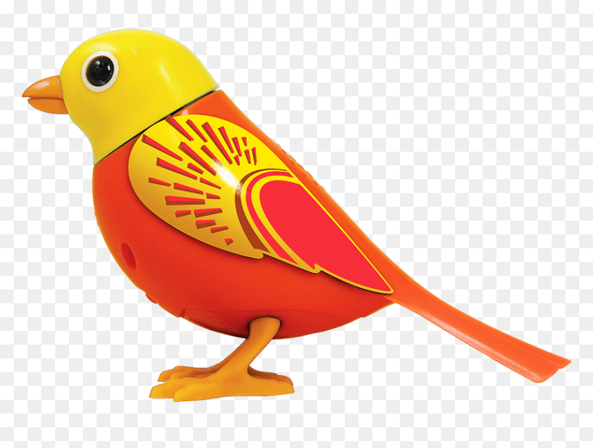 Robin, HD Png Download - sunbeam png