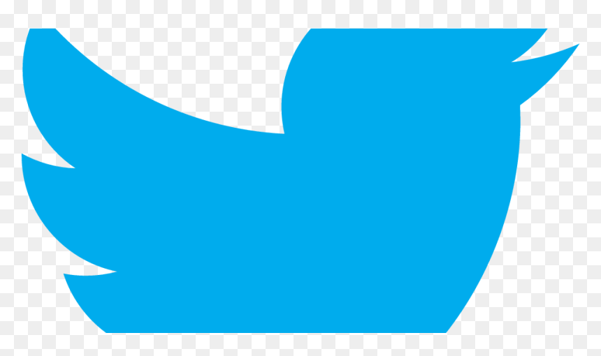 Transparent Twitter Bird Logo Png Transparent - Twitter Logo In Png Only, Png Download - red twitter logo png