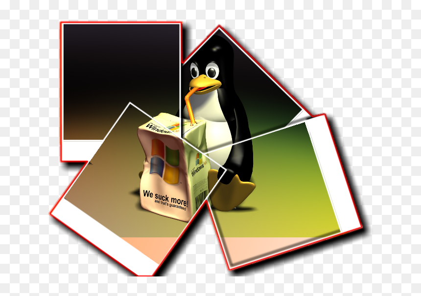 Peng Polaroid - Windows To Linux, HD Png Download - polaroid border png
