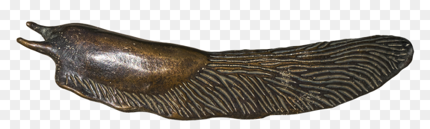 Slug Png - Bronze Sculpture, Transparent Png - slug png