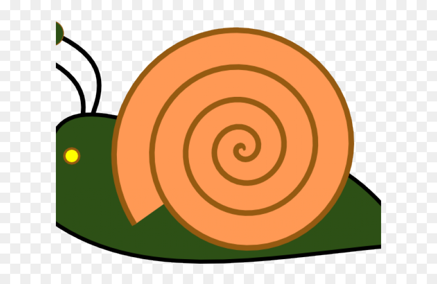 Slug Png , Png Download - Caracol Clipart, Transparent Png - slug png