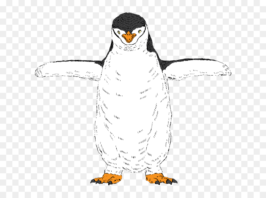 Adã©lie Penguin, HD Png Download - feliz cumpleanos png