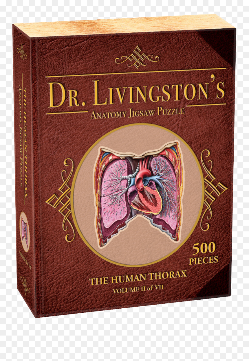Dr Livingston's Anatomy Jigsaw Puzzles Volume Ii, HD Png Download - jigsaw png