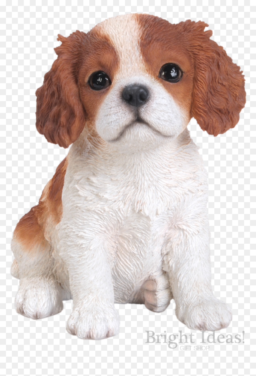King Charles Puppy Dog Vivid Arts Pet Pals Brown - Tall Is A King Charles Spaniel Puppy, HD Png Download - puppy dog pals png