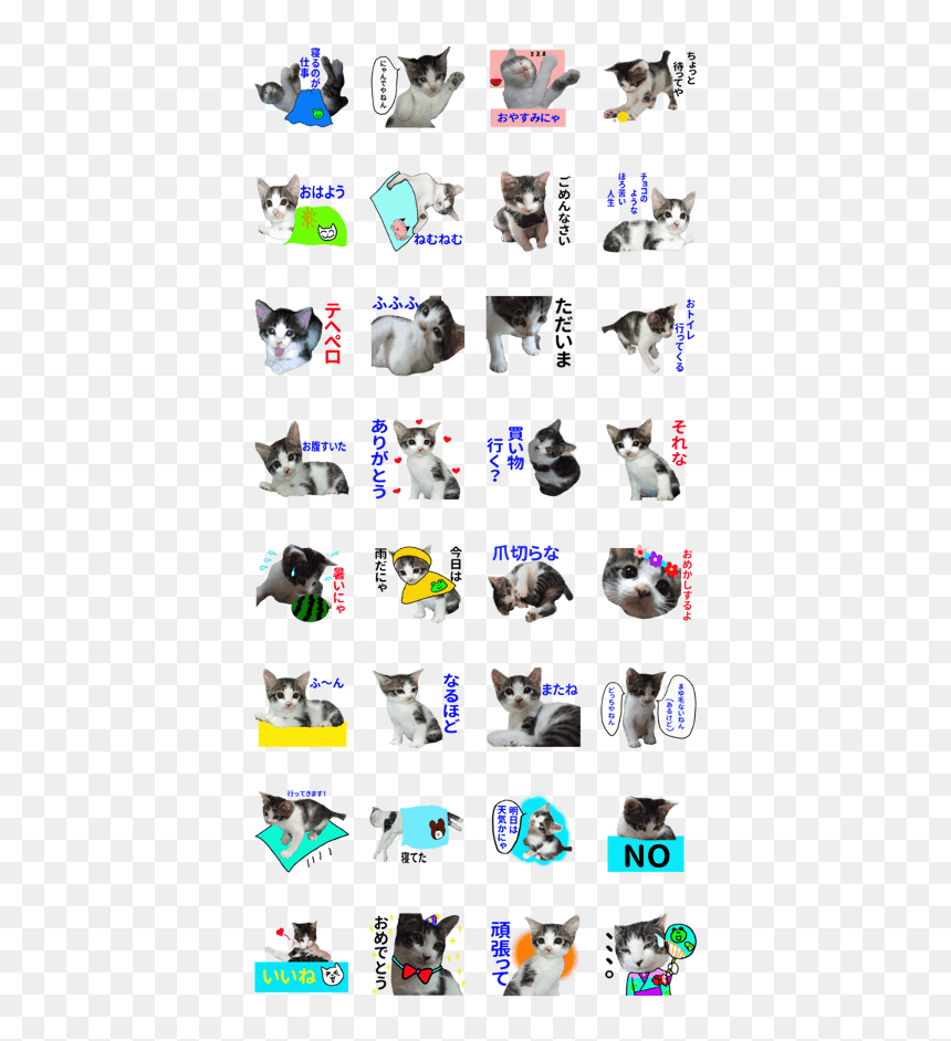 Sticker Of A Kawaii Cat - British Shorthair, HD Png Download - kawaii cat png